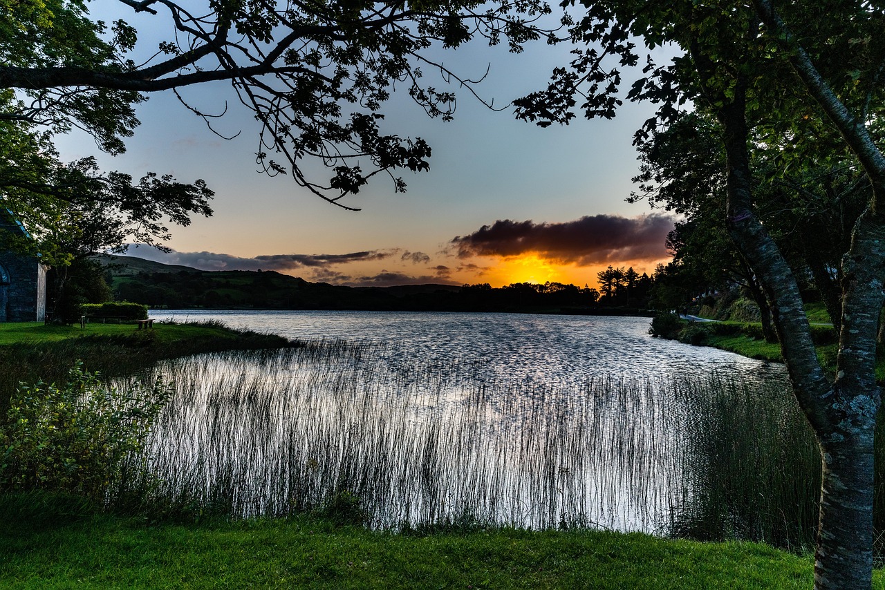 Quiet river or lake scene in County Cork at sunset