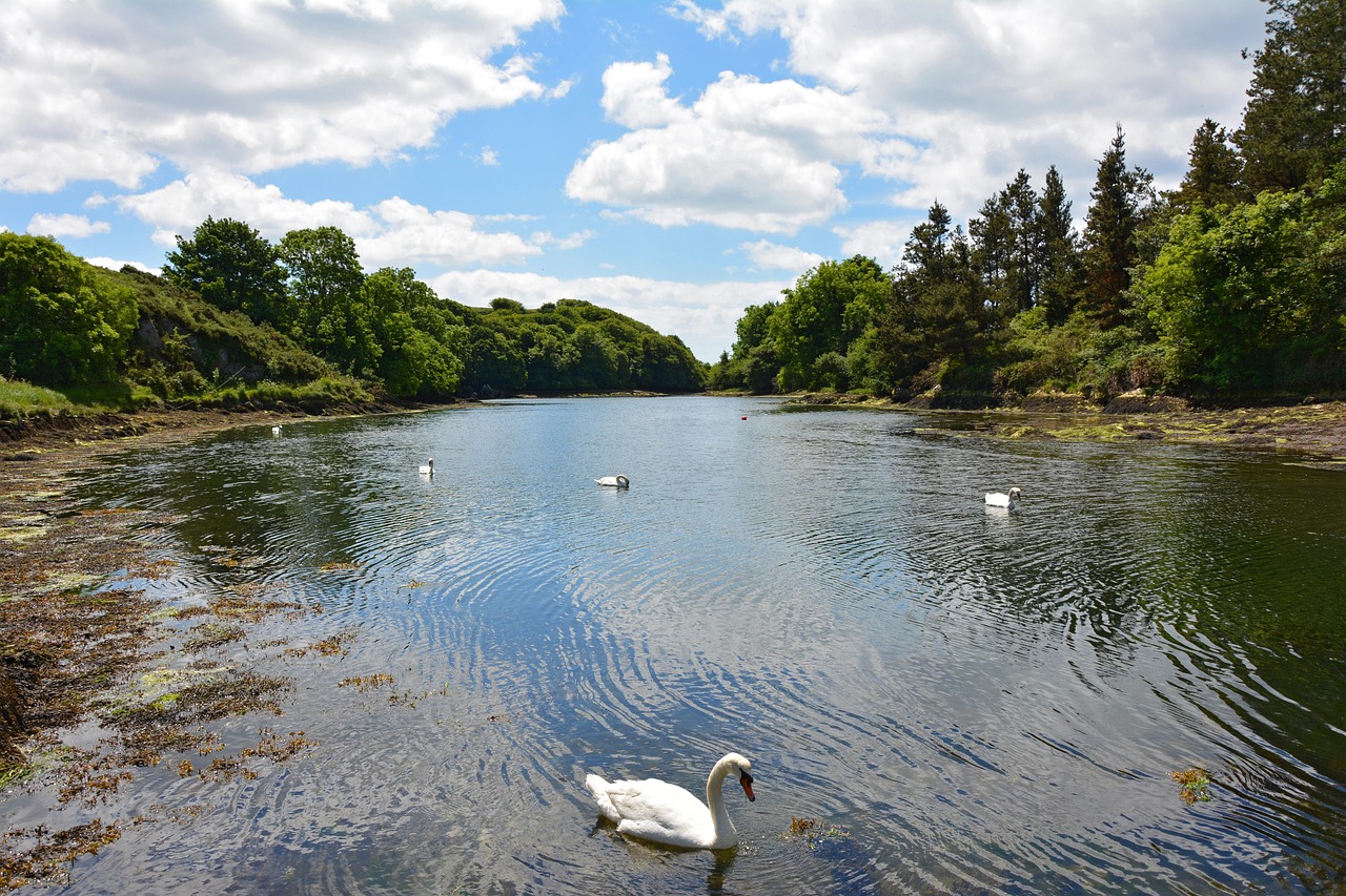 Harbour town and coastal walking vibe in Cork